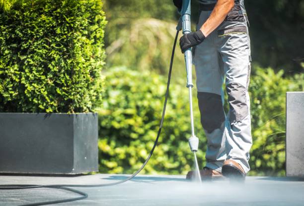 Ladd, IL Pressure Washing Services Company