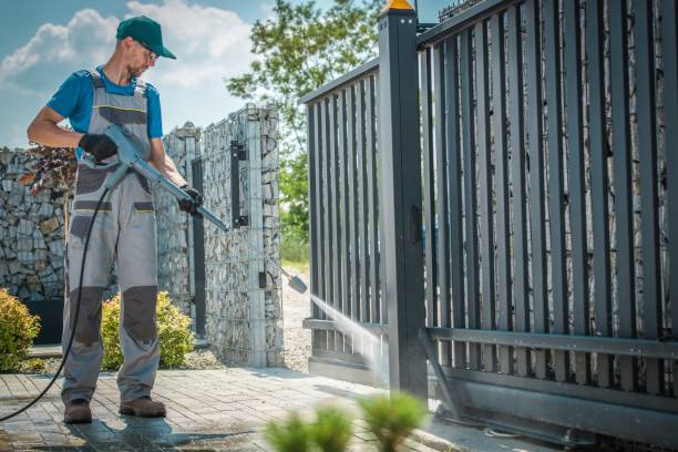 Best Spring Cleaning  in Ladd, IL