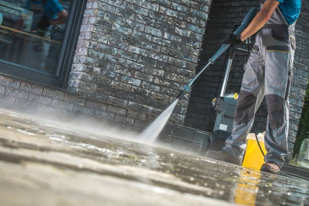 Best Oil Spill Cleanup  in Ladd, IL