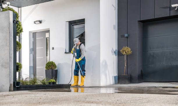 Best Fence Cleaning  in Ladd, IL